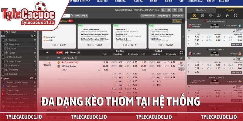 Tỷ Lệ Cá Cược Bóng Đá 2 Đa dạng kèo thơm tại hệ thống