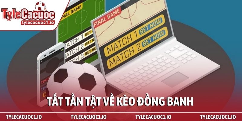 Kèo đồng banh - Sát thủ diệt nhà cái khi cá cược 2 Tất tần tật về kèo đồng banh